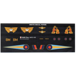 BAC TSR-2