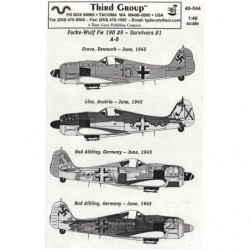 Focke-Wulf Fw 190 A-8 Survivants Pt.1