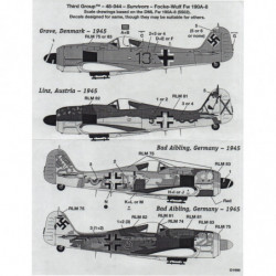 Focke-Wulf Fw 190 A-8 Survivors Pt.1