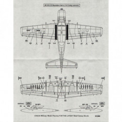 Douglas AD-5/A-1E Skyraider (White stencils)