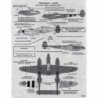 Lockheed P-38 Lightning F-5E 33PRS & Nationalist Chinese