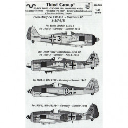 Focke-Wulf Fw 190 A-3/F-3/8 Survivants Pt.2