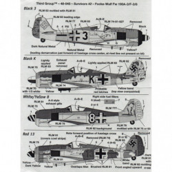 Focke-Wulf Fw 190 A-3/F-3/8 Survivants Pt.2