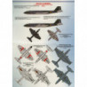 BAC/EE Canberra International 'Bomber Canopy' Version Pt.2
