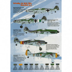 Defending the Reich Skies 1944-1945 Pt.2 (Bf 109 G-14/AS / Fw 190 A-8/D-9/F-8)