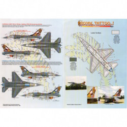 Royal Tattoo RTAF F-16 A/B 20th Anniversary Scheme