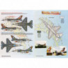 Royal Tattoo RTAF F-16 A/B 20th Anniversary Scheme