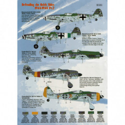 Defending the Reich Skies 1944-1945 Pt.2 (Bf 109 G-14/AS / Fw 190 A-8/D-9/F-8)