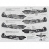 Brewster F2A Buffalo / Curtiss Kittyhawk P-40 Mk.I/Ia