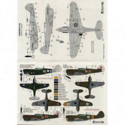 Curtiss P-40 Warhawk