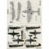 Curtiss P-40 Warhawk