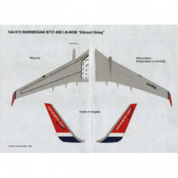 Boeing 737-800 - Norwegian (Edvard Grieg)