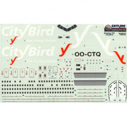 Boeing 767 - CityBird