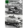 Israeli Air Force Gloster Meteor