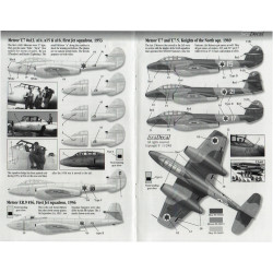 Israeli Air Force Gloster Meteor