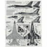 Israeli Air Force F-16A/B Nets Mig Killers