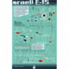 Israeli F-15 Mig Killers