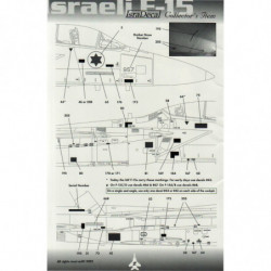 Israeli F-15 Mig Killers