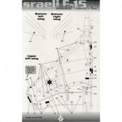 Israeli F-15 Mig Killers