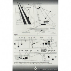 Israeli F-15 Mig Killers