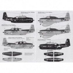 TBM-3E2/3S2/3W2 Avenger