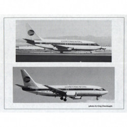 Boeing 737-100/200/300 - Continental