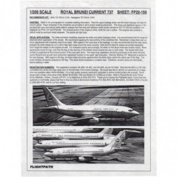 Boeing 737 - Royal Brunei