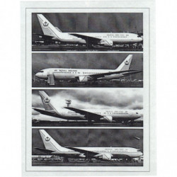 Boeing 767 - Royal Brunei