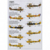  RCAF