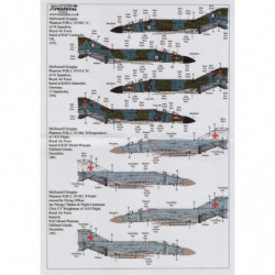 RAF McDonnell Douglas FG.1 & FGR.2 Phantoms Pt.2