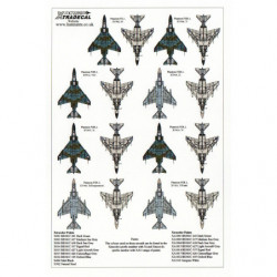 RAF McDonnell Douglas FG.1 & FGR.2 Phantoms Pt.2