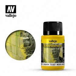 Weathering Effects Environnement mousses et lichens (40 ml)