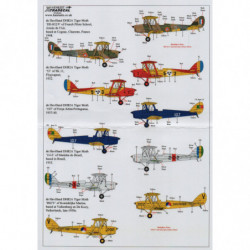 de Havilland Tiger Moth Pt.3 (Overseas Operators)