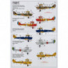 de Havilland Tiger Moth Pt.3 (Overseas Operators)