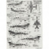 BN 2A6 Islander / DHC-2 Beaver / Mig-21 UM / Morane-Saulnier MS50 / PA-31 Chieftain / Serial F2 / SW 20