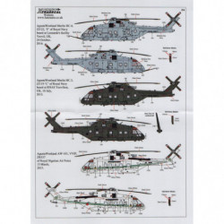 Agusta Westland Merlin (divers opérateurs)