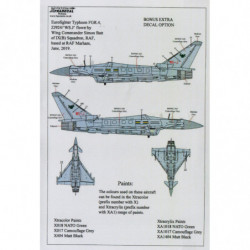 RAF Lockheed C-130J Hercules C.5 Special Schemes Pt.1
