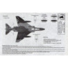 V.N. Warriors - McDonnell Douglas F-4D (Pt. 2)