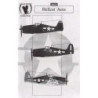 Hellcat Aces - F6F-3 / F6F-5