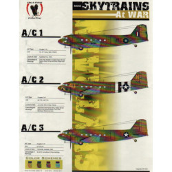 Skytrains At War - Douglas C-47