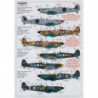 Supermarine Spitfire Mk.IX Collection