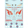 RAF McDonnell Douglas FG.1 Phantom 25th Anniversary Scheme
