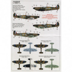Supermarine Spitfire Mk.1a (75ème anniversaire de la Bataille d'Angleterre)