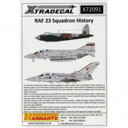 Histoire de l'escadron 23 RAF