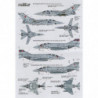 Histoire de l'escadron 23 RAF