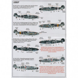 Luftwaffe Fighter Reconnaissance