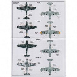 Luftwaffe Fighter Reconnaissance