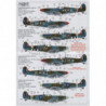 Supermarine Spitfire Mk.IX Collection