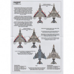 RAF McDonnell Douglas Phantom FGR.2 Alcock & Brown Scheme