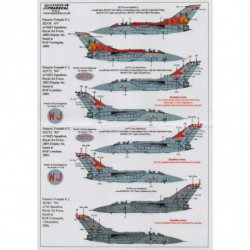 Panavia Tornado F.3 escadron 56(F) RAF Collection